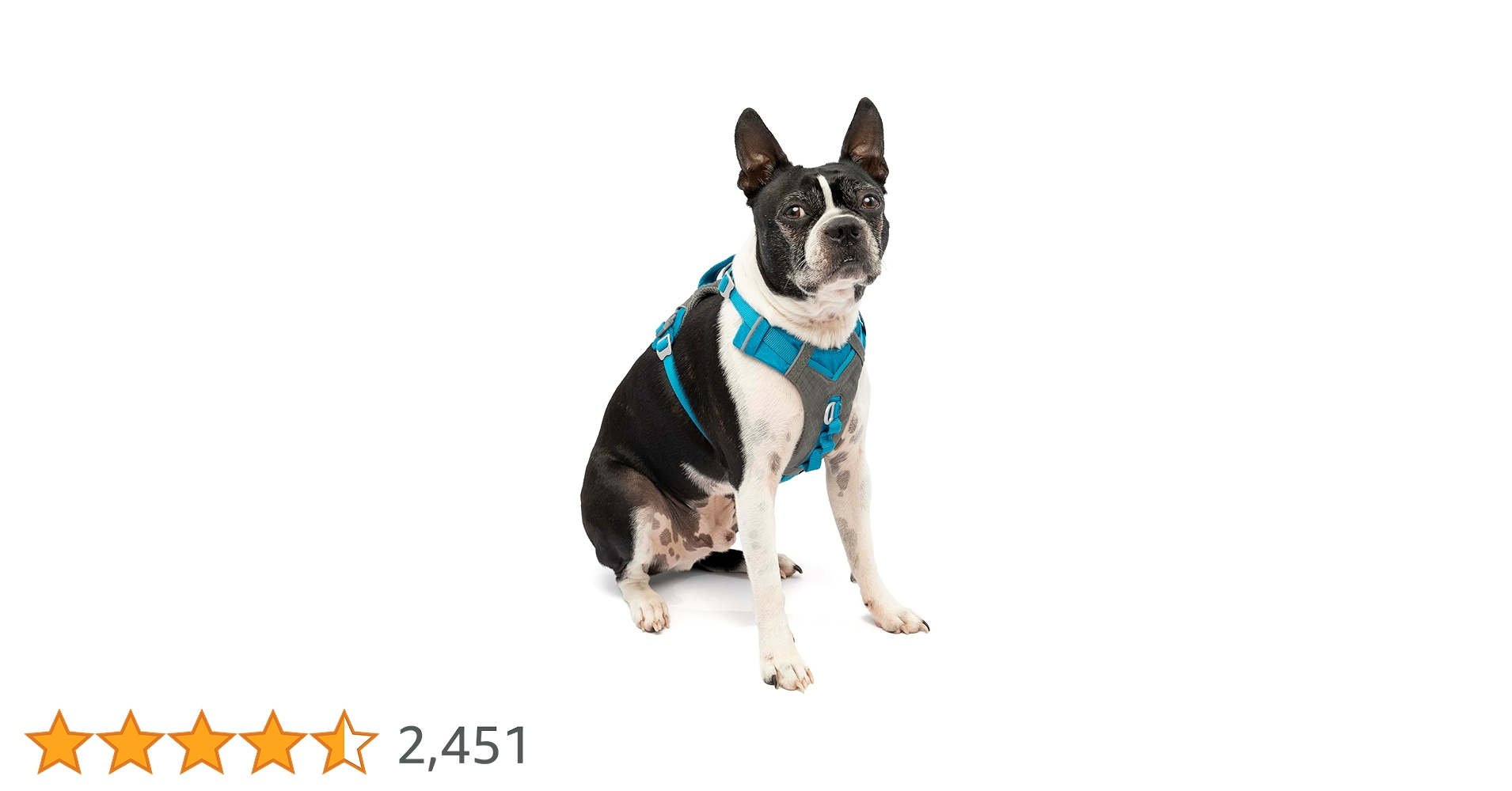 Amazon | Kurgo 犬用ハーネス 大型犬 中型犬 活動的な犬用